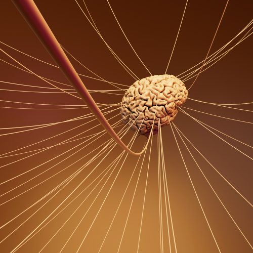 The Vagus Nerve – your in built calming system